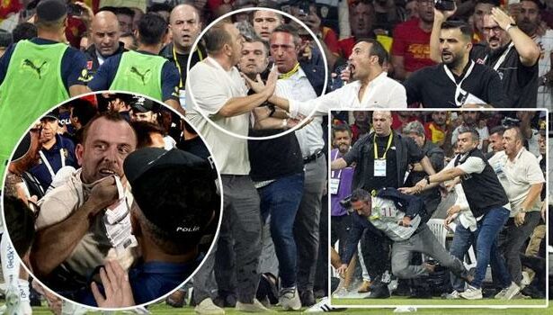 Göztepe - Fenerbahçe maçında Ali Koç'a saldıran Fatih Özkan'a ev hapsi! İlk vukuatı değil, ifadesi ortaya çıktı