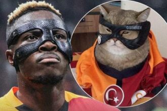Osimhen, maskeli kedi 'Pisimhen'i paylaştı