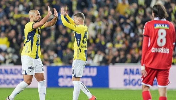 Sivasspor'un serisini Fenerbahçe bitirdi