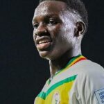 Fenerbahçe'nin ilk transferi Amara Diouf!