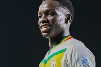Fenerbahçe'nin ilk transferi Amara Diouf!