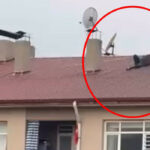 Amatör Lig maçını çatıda uzanarak izledi; o anlar kamerada