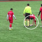 İstanbul'da oynanan maçta ilginç olay: Top isabet eden martı kalp masajıyla hayata döndürüldü!