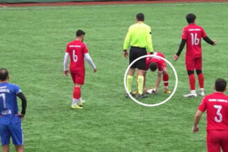 İstanbul'da oynanan maçta ilginç olay: Top isabet eden martı kalp masajıyla hayata döndürüldü!